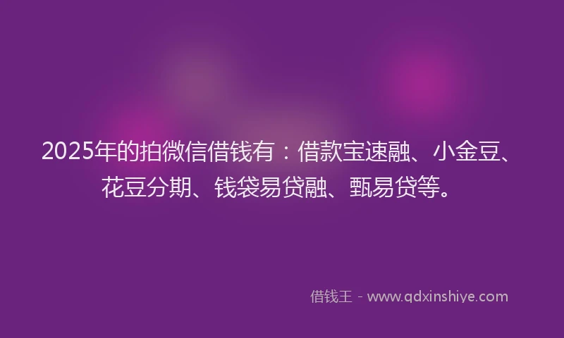 2025年的拍微信借钱有：借款宝速融、小金豆、花豆分期、钱袋易贷融、甄易贷等。