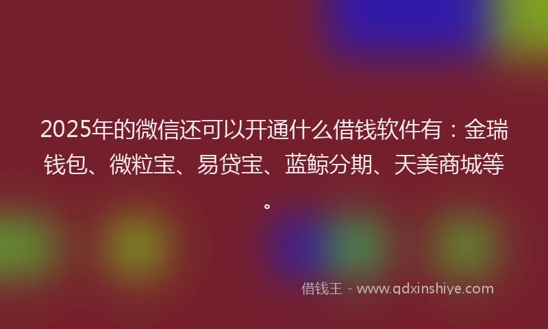 2025年的微信还可以开通什么借钱软件有：金瑞钱包、微粒宝、易贷宝、蓝鲸分期、天美商城等。