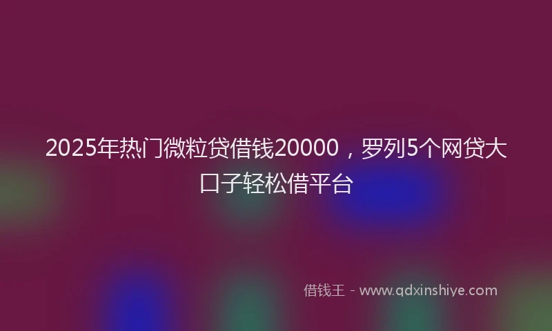 2025年热门微粒贷借钱20000，罗列5个网贷大口子轻松借平台
