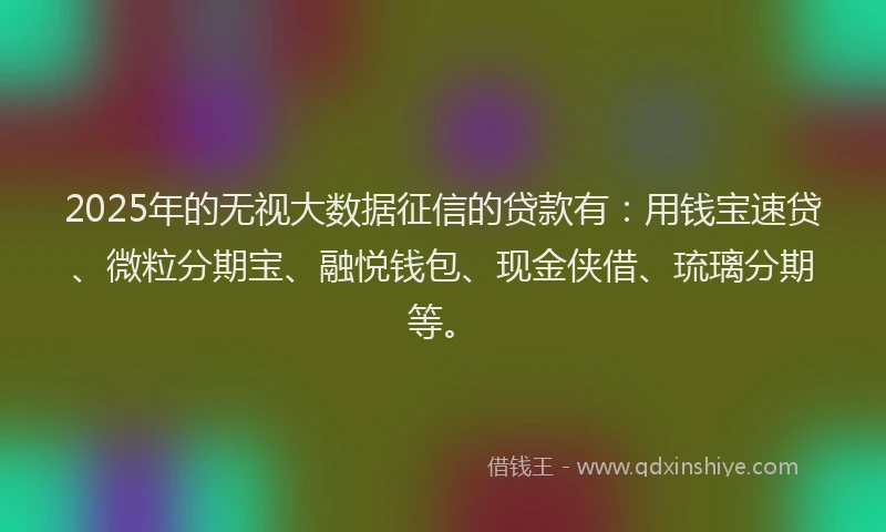2025年的无视大数据征信的贷款有：用钱宝速贷、微粒分期宝、融悦钱包、现金侠借、琉璃分期等。
