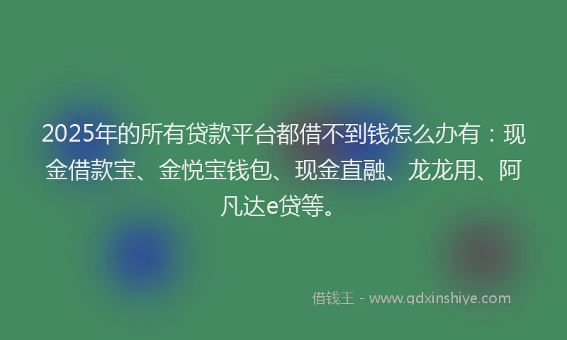 2025年的所有贷款平台都借不到钱怎么办有：现金借款宝、金悦宝钱包、现金直融、龙龙用、阿凡达e贷等。