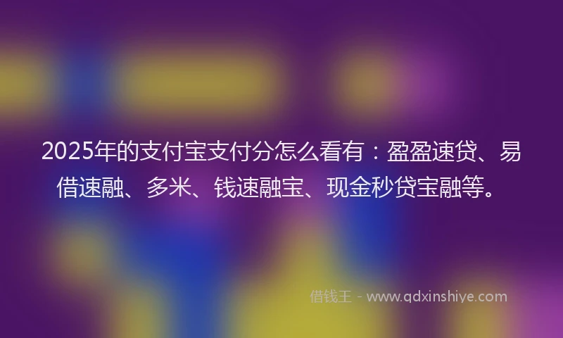 2025年的支付宝支付分怎么看有：盈盈速贷、易借速融、多米、钱速融宝、现金秒贷宝融等。
