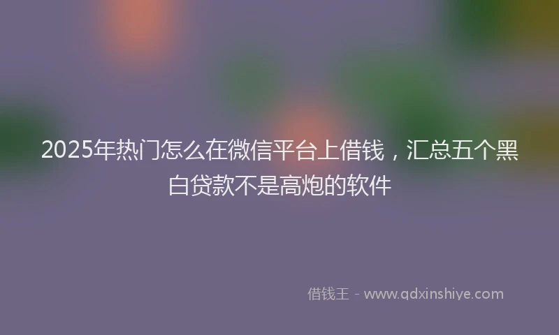 2025年热门怎么在微信平台上借钱，汇总五个黑白贷款不是高炮的软件