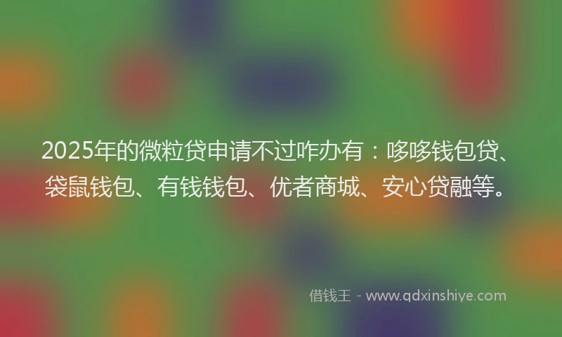2025年的微粒贷申请不过咋办有：哆哆钱包贷、袋鼠钱包、有钱钱包、优者商城、安心贷融等。