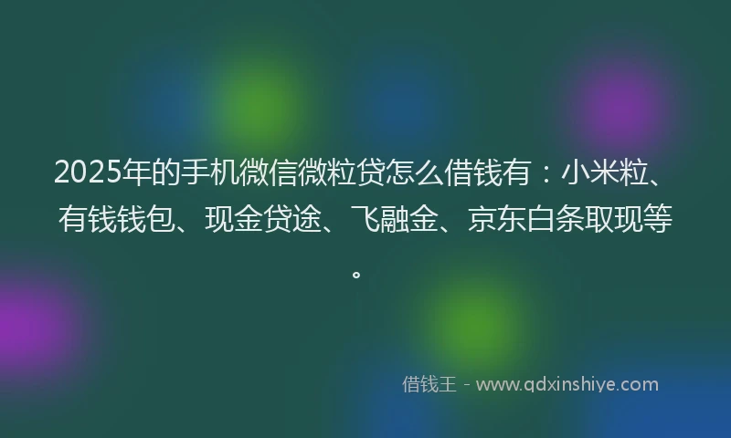 2025年的手机微信微粒贷怎么借钱有：小米粒、有钱钱包、现金贷途、飞融金、京东白条取现等。