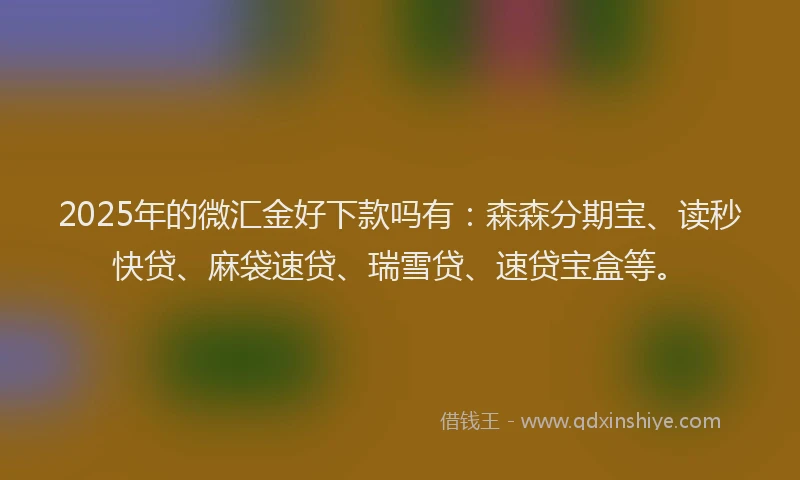 2025年的微汇金好下款吗有：森森分期宝、读秒快贷、麻袋速贷、瑞雪贷、速贷宝盒等。