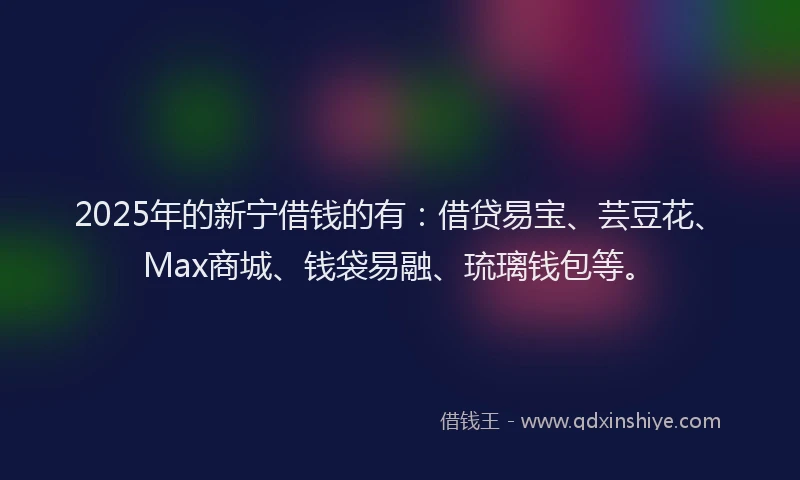 2025年的新宁借钱的有：借贷易宝、芸豆花、Max商城、钱袋易融、琉璃钱包等。
