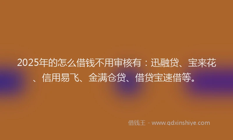 2025年的怎么借钱不用审核有：迅融贷、宝来花、信用易飞、金满仓贷、借贷宝速借等。