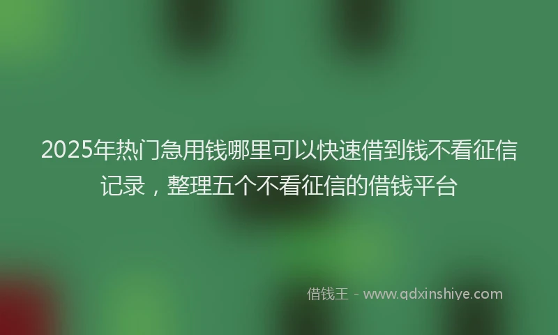2025年热门急用钱哪里可以快速借到钱不看征信记录，整理五个不看征信的借钱平台