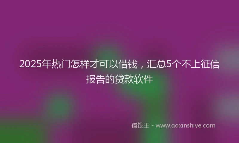 2025年热门怎样才可以借钱，汇总5个不上征信报告的贷款软件