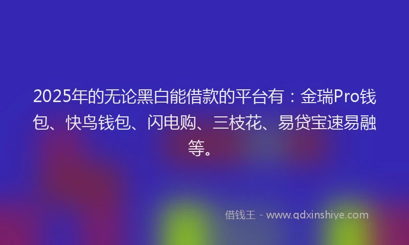 2025年的无论黑白能借款的平台有：金瑞Pro钱包、快鸟钱包、闪电购、三枝花、易贷宝速易融等。