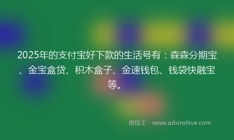 2025年的支付宝好下款的生活号有：森森分期宝、金宝盒贷、积木盒子、金速钱包、钱袋快融宝等。