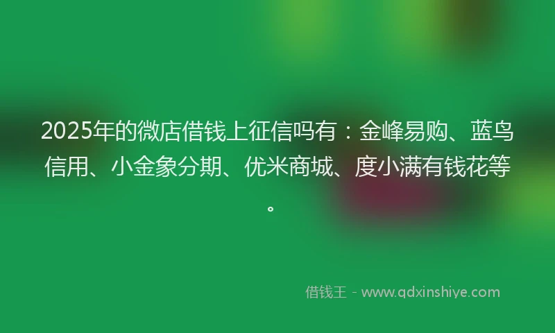 2025年的微店借钱上征信吗有：金峰易购、蓝鸟信用、小金象分期、优米商城、度小满有钱花等。