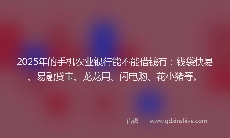 2025年的手机农业银行能不能借钱有：钱袋快易、易融贷宝、龙龙用、闪电购、花小猪等。