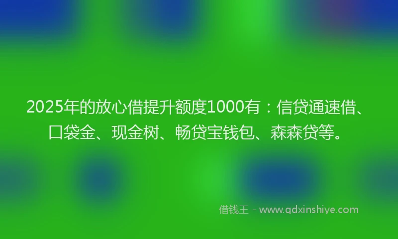 2025年的放心借提升额度1000有：信贷通速借、口袋金、现金树、畅贷宝钱包、森森贷等。