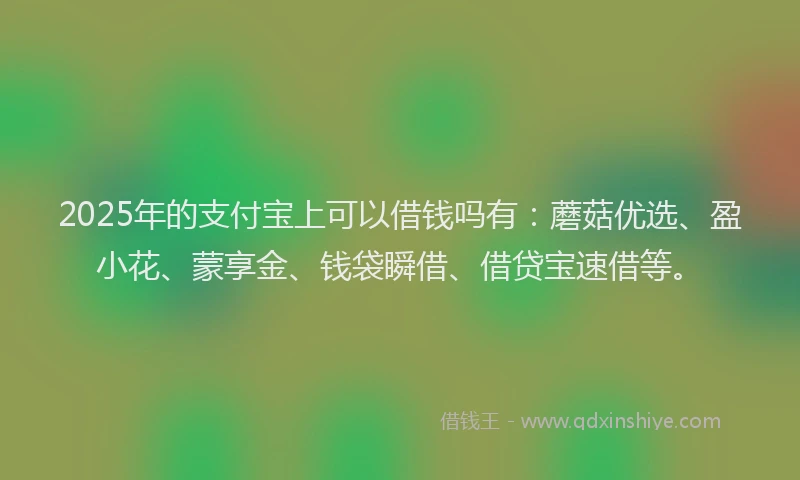 2025年的支付宝上可以借钱吗有：蘑菇优选、盈小花、蒙享金、钱袋瞬借、借贷宝速借等。