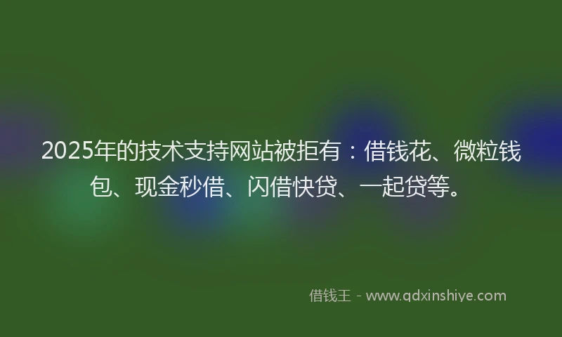 2025年的技术支持网站被拒有：借钱花、微粒钱包、现金秒借、闪借快贷、一起贷等。