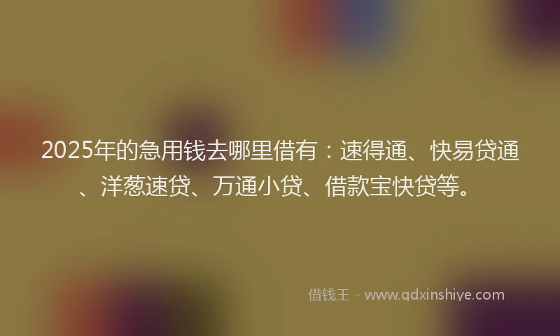 2025年的急用钱去哪里借有：速得通、快易贷通、洋葱速贷、万通小贷、借款宝快贷等。