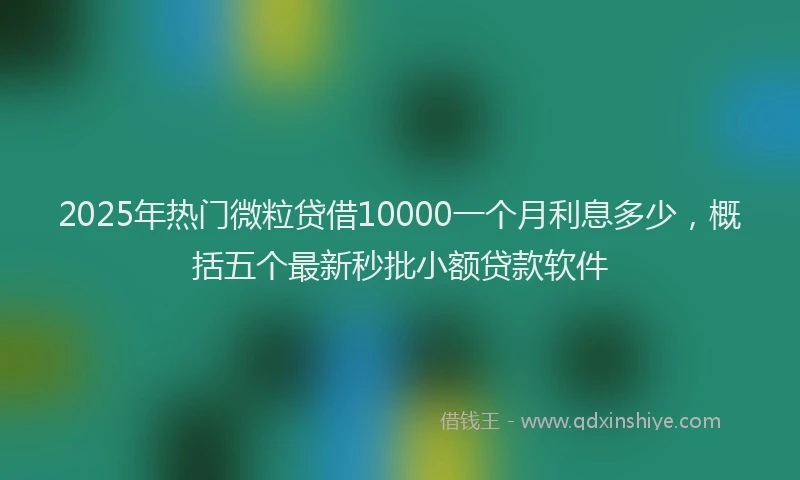 2025年热门微粒贷借10000一个月利息多少，概括五个最新秒批小额贷款软件