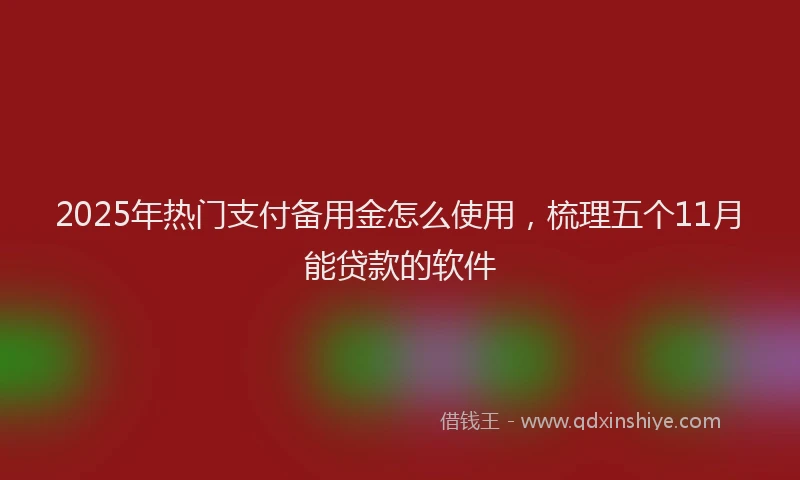 2025年热门支付备用金怎么使用，梳理五个11月能贷款的软件