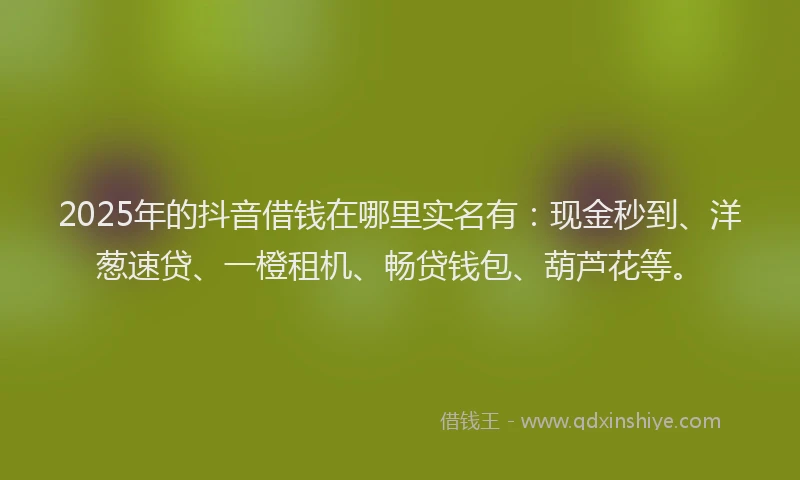 2025年的抖音借钱在哪里实名有：现金秒到、洋葱速贷、一橙租机、畅贷钱包、葫芦花等。