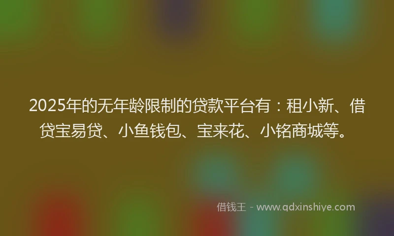 2025年的无年龄限制的贷款平台有：租小新、借贷宝易贷、小鱼钱包、宝来花、小铭商城等。