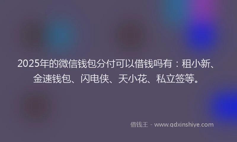 2025年的微信钱包分付可以借钱吗有：租小新、金速钱包、闪电侠、天小花、私立签等。
