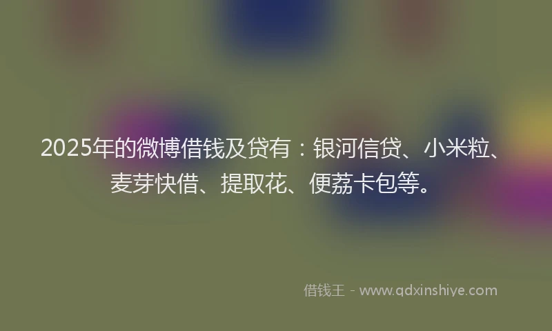 2025年的微博借钱及贷有：银河信贷、小米粒、麦芽快借、提取花、便荔卡包等。