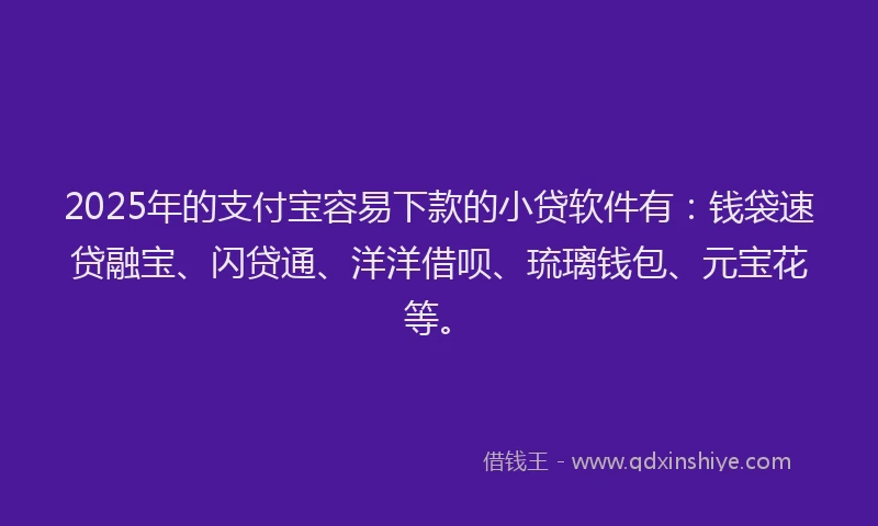 2025年的支付宝容易下款的小贷软件有：钱袋速贷融宝、闪贷通、洋洋借呗、琉璃钱包、元宝花等。