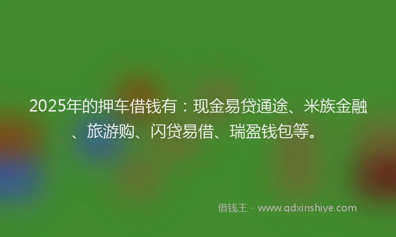 2025年的押车借钱有：现金易贷通途、米族金融、旅游购、闪贷易借、瑞盈钱包等。