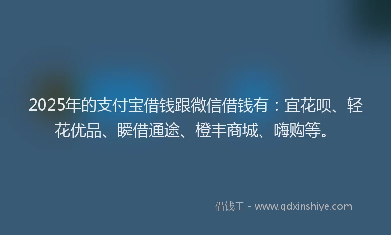 2025年的支付宝借钱跟微信借钱有：宜花呗、轻花优品、瞬借通途、橙丰商城、嗨购等。
