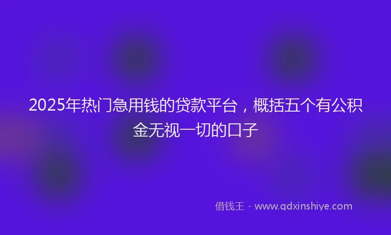 2025年热门急用钱的贷款平台，概括五个有公积金无视一切的口子