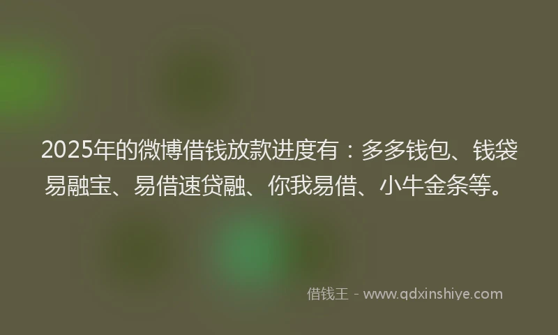 2025年的微博借钱放款进度有：多多钱包、钱袋易融宝、易借速贷融、你我易借、小牛金条等。