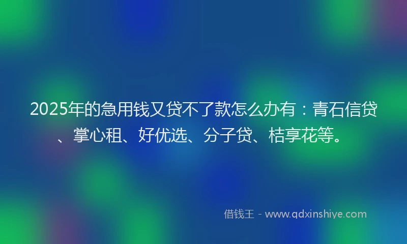 2025年的急用钱又贷不了款怎么办有：青石信贷、掌心租、好优选、分子贷、桔享花等。