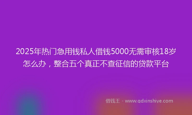 2025年热门急用钱私人借钱5000无需审核18岁怎么办，整合五个真正不查征信的贷款平台