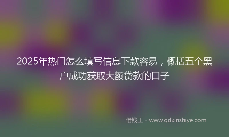 2025年热门怎么填写信息下款容易，概括五个黑户成功获取大额贷款的口子