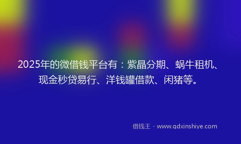 2025年的微借钱平台有：紫晶分期、蜗牛租机、现金秒贷易行、洋钱罐借款、闲猪等。