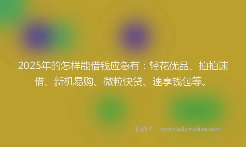 2025年的怎样能借钱应急有：轻花优品、拍拍速借、新机易购、微粒快贷、速享钱包等。
