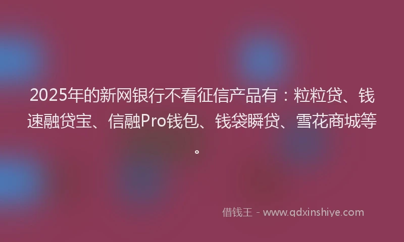 2025年的新网银行不看征信产品有：粒粒贷、钱速融贷宝、信融Pro钱包、钱袋瞬贷、雪花商城等。