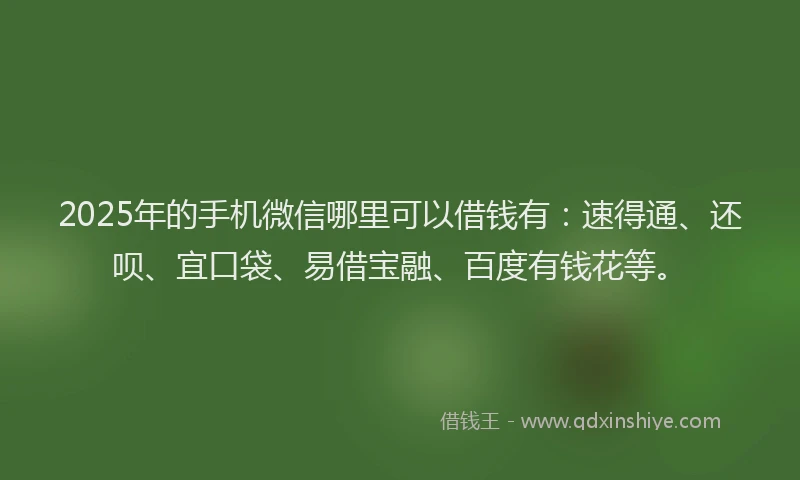 2025年的手机微信哪里可以借钱有：速得通、还呗、宜口袋、易借宝融、百度有钱花等。