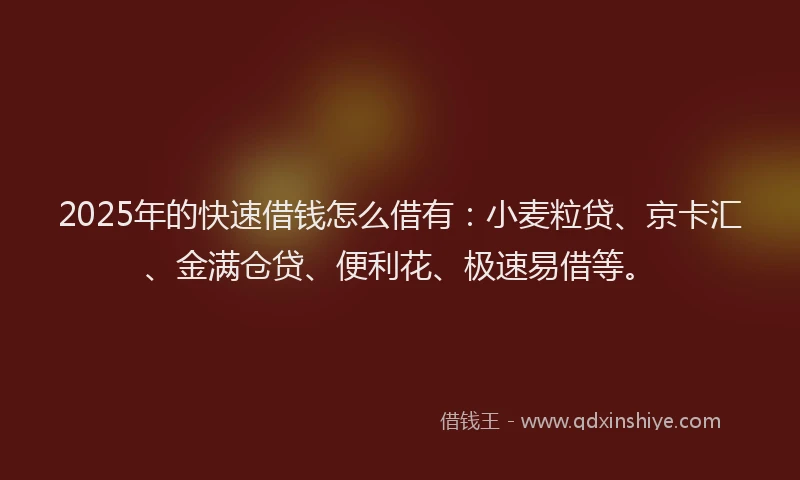 2025年的快速借钱怎么借有：小麦粒贷、京卡汇、金满仓贷、便利花、极速易借等。