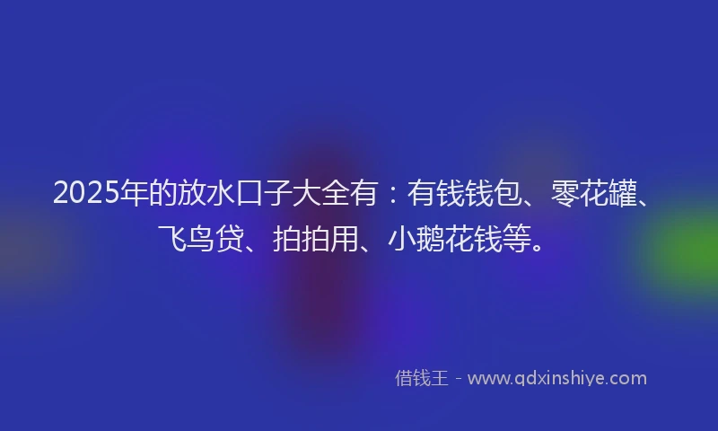 2025年的放水口子大全有：有钱钱包、零花罐、飞鸟贷、拍拍用、小鹅花钱等。
