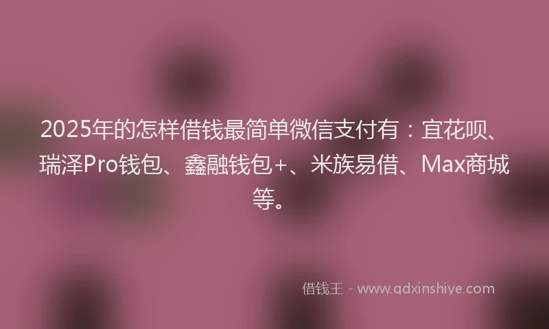 2025年的怎样借钱最简单微信支付有：宜花呗、瑞泽Pro钱包、鑫融钱包+、米族易借、Max商城等。