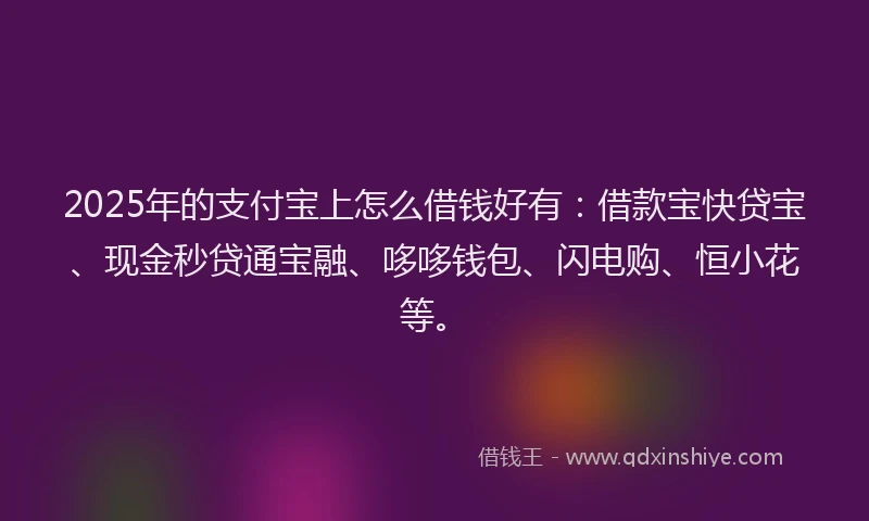 2025年的支付宝上怎么借钱好有：借款宝快贷宝、现金秒贷通宝融、哆哆钱包、闪电购、恒小花等。