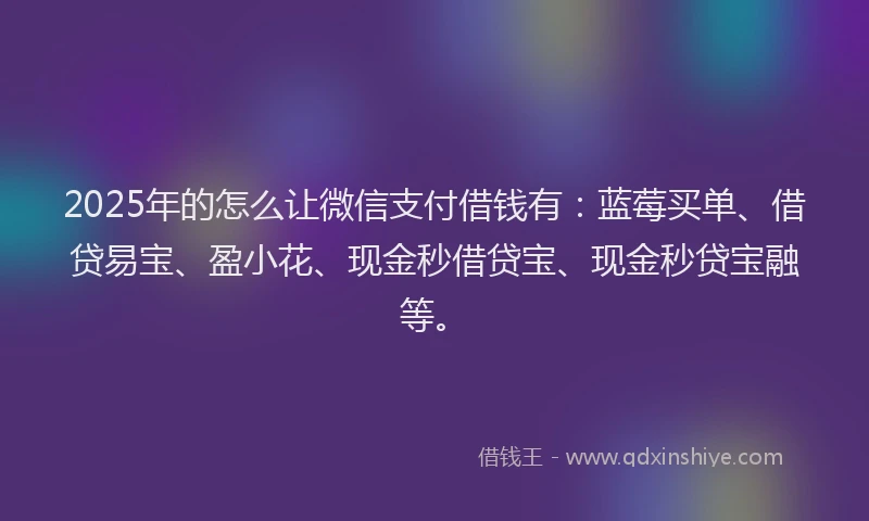 2025年的怎么让微信支付借钱有：蓝莓买单、借贷易宝、盈小花、现金秒借贷宝、现金秒贷宝融等。