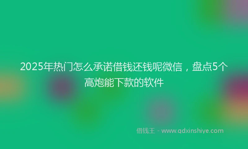 2025年热门怎么承诺借钱还钱呢微信，盘点5个高炮能下款的软件