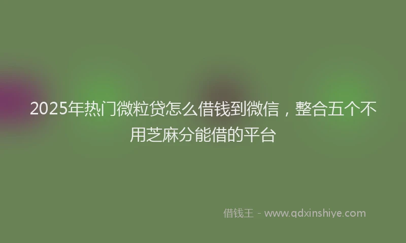 2025年热门微粒贷怎么借钱到微信，整合五个不用芝麻分能借的平台