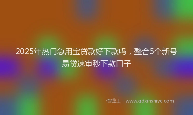 2025年热门急用宝贷款好下款吗，整合5个新号易贷速审秒下款口子