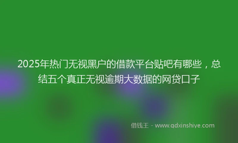 2025年热门无视黑户的借款平台贴吧有哪些，总结五个真正无视逾期大数据的网贷口子
