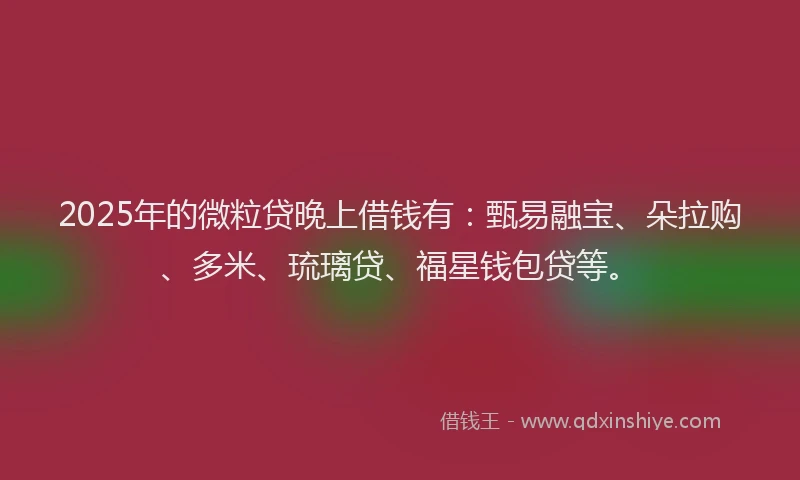 2025年的微粒贷晚上借钱有：甄易融宝、朵拉购、多米、琉璃贷、福星钱包贷等。